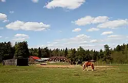 卡申区内的露营营地