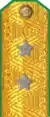 погоны 1943