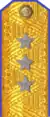 погоны 1943