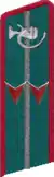 петлица 1937