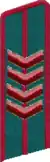 петлица 1936