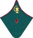 петлица 1937