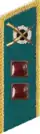 петлица 1940