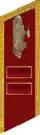 петлица 1937