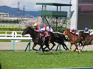 2014年冠軍「高情厚意」