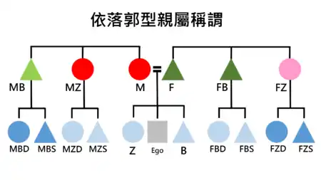 依落郭型親屬稱謂系統