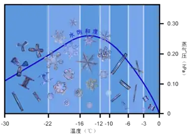 冰晶的形状与环境温度和湿度的关系 [常见晶体结构及形成条件]. Winter Microphysics Topics: Winter Precipitation Processes.   [2012-02-14]. （原始内容存档于2013-06-08） （英语）. 