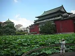 國立歷史博物館背面及植物園荷花池