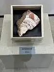 吐鲁番博物馆展出吐峪沟石窟出土的壁画残块