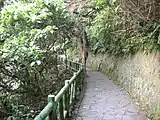 原生林步道