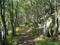 北嶺山脊登山道