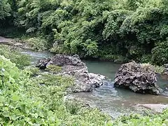 宇津峽（桂川中游）：普通地域