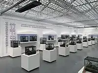 竹节虫展区