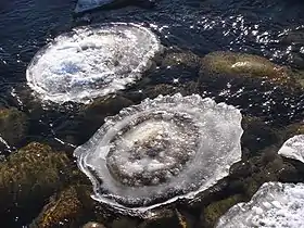 拉斯特乡克兰河冬季风景