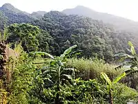 茂名电白鹅凰嶂越野穿越