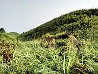 茂名电白鹅凰嶂越野穿越