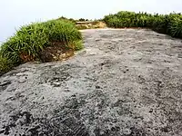 茂名电白鹅凰嶂越野穿越