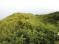 茂名电白鹅凰嶂越野穿越