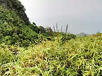 茂名电白鹅凰嶂越野穿越