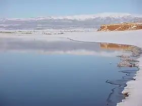 阿勒泰塘巴湖的冬景