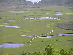 雨龍沼濕原