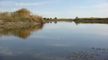 额尔齐斯河的萨尔胡松的湿地