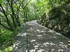 屋島登山道（中腹）