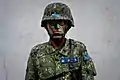 著陸軍迷彩服的陸軍上士