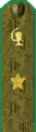 погоны 1943