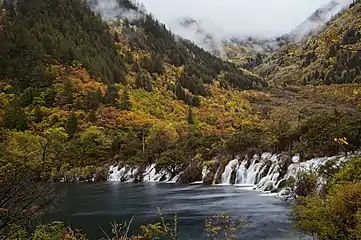 九寨沟树正沟