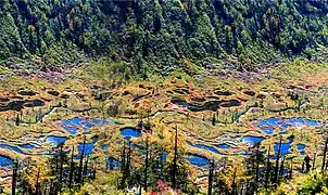 贡山独龙族怒族自治县高黎贡山一景