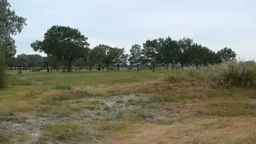 2010年9月12日萨尔胡松额尔齐斯河湿地风景