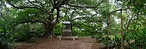 2016年崎頂日出神社