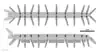 20210822_Onychodictyon_ferox_diagrammatic_reconstruction