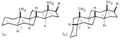 類固醇5α及5β的立體異構體。5α或5β指C-5上該氫是低於還是高於甾環平面。