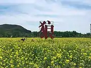 A piece of yellow rapeseed flowers in Mount Langya.