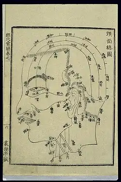 头面部穴位图，人迎穴在图中喉部}