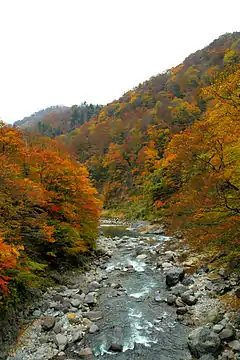 秋山鄉（日语：）