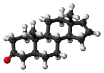 Ball-and-stick model of the androstenone molecule