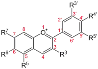 Basic structure of Anthocyans: The flavio-cation