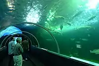 串本海中公園的水族館