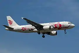 锦绣湖北号涂装的空中客車A320-200