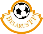 Shirt badge/Association crest