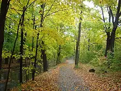 布魯亞杜公園（Bloordale Park）是位於麥蘭活的市政公園