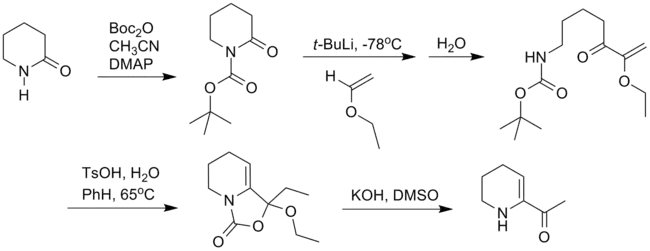 6-乙酰基-1,2,3,4-四氢吡啶合成