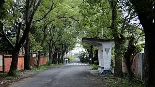 霧峰區光復新村