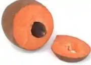 馬米果Mamey sapote