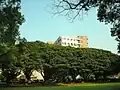 中原大學校園