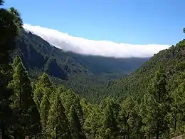 塔武连特火山口