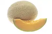 麝香甜瓜Cantaloupe